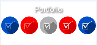 check-portfolio